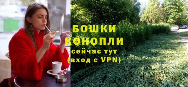 гидра Туринск