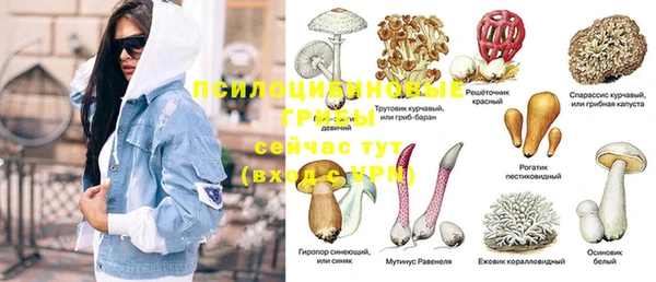 тгк Богданович